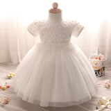 Baby Girl Dress Tutu Lace Princess Girls Clothes Flowers Toddler Girl Christening Gown Baby Dresses For Party Birthday Wedding